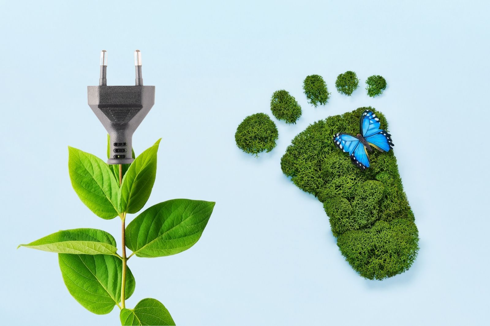 Yenilenebilir Enerji ile Karbon Ayak İzini Azaltmak