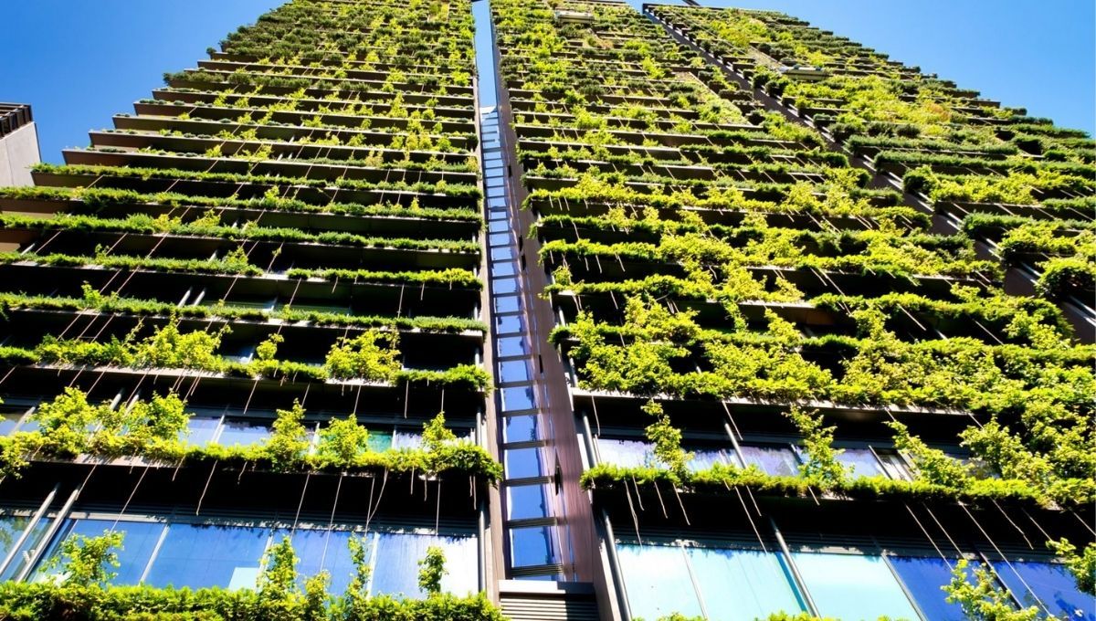 Sıfır Karbon Binalar İçin Enerji Çözümleri