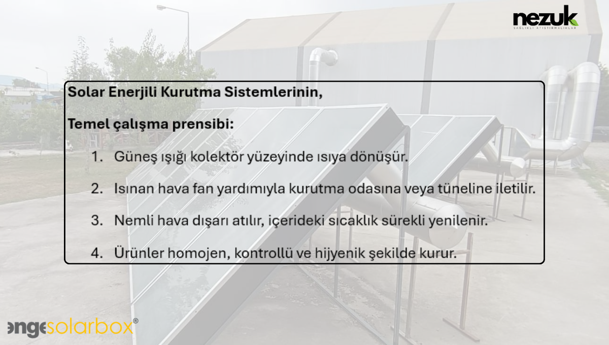 Solar Enerjili Kurutma Sistemleri: Gıda, Tarım ve Sanayide Yeni Standart